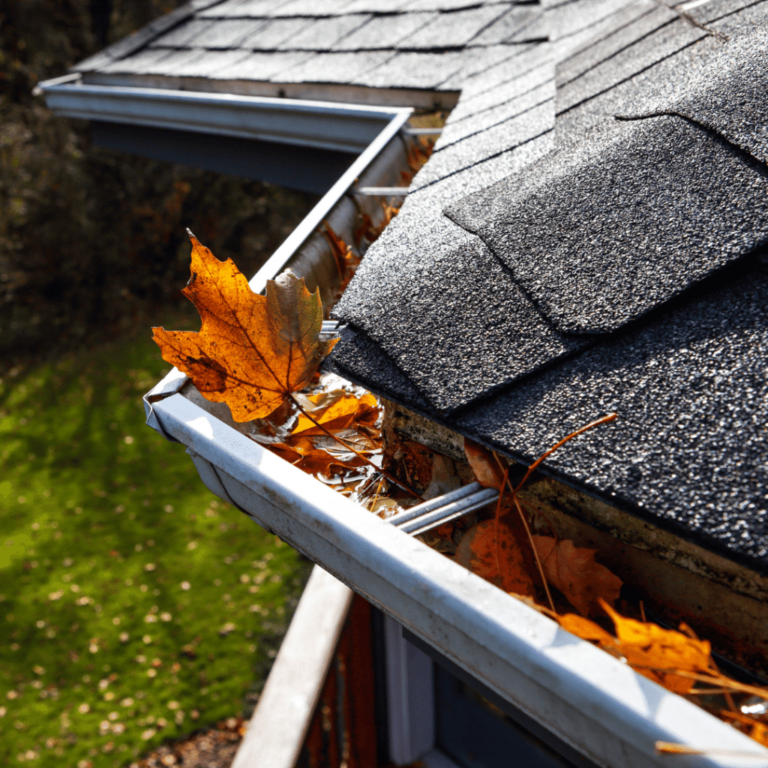 roofing-season