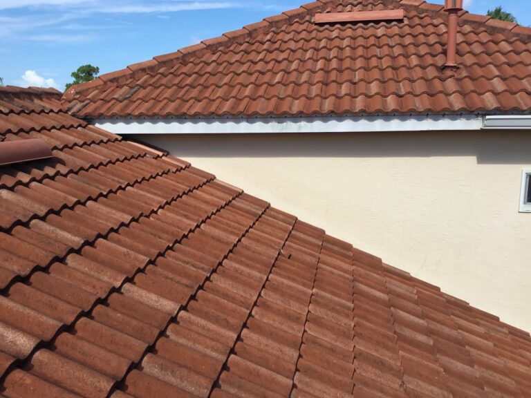 roof-maintenance-and-tips