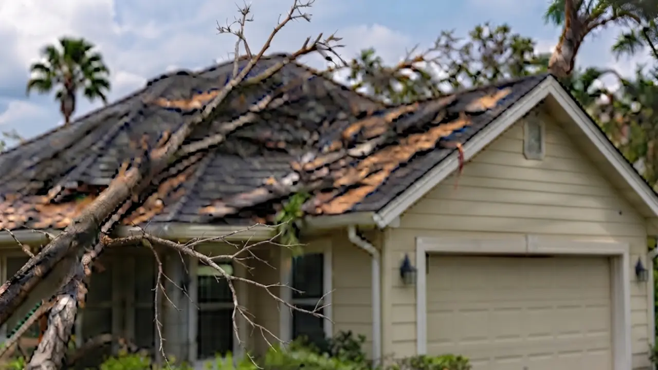 Fallen tree limbs on a storm-damaged Jacksonville roof